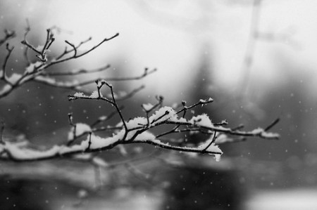 tumblr_mf6skcCTOn1s0r3bvo1_500_large